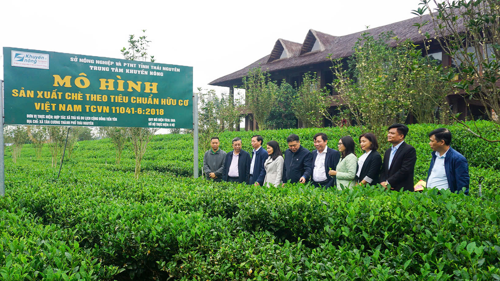 Đoàn công tác của Bộ Nông nghiệp và PTNT do Thứ trưởng Hoàng Trung làm Trưởng đoàn khảo sát vùng chè sản xuất đạt tiêu chuẩn hữu cơ Việt Nam